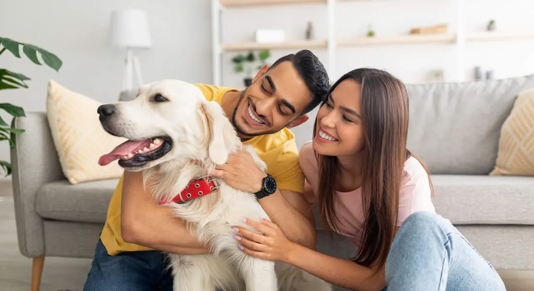 River North Pet-Friendly Condos
