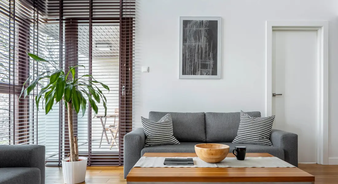 River North Townhomes For Sale