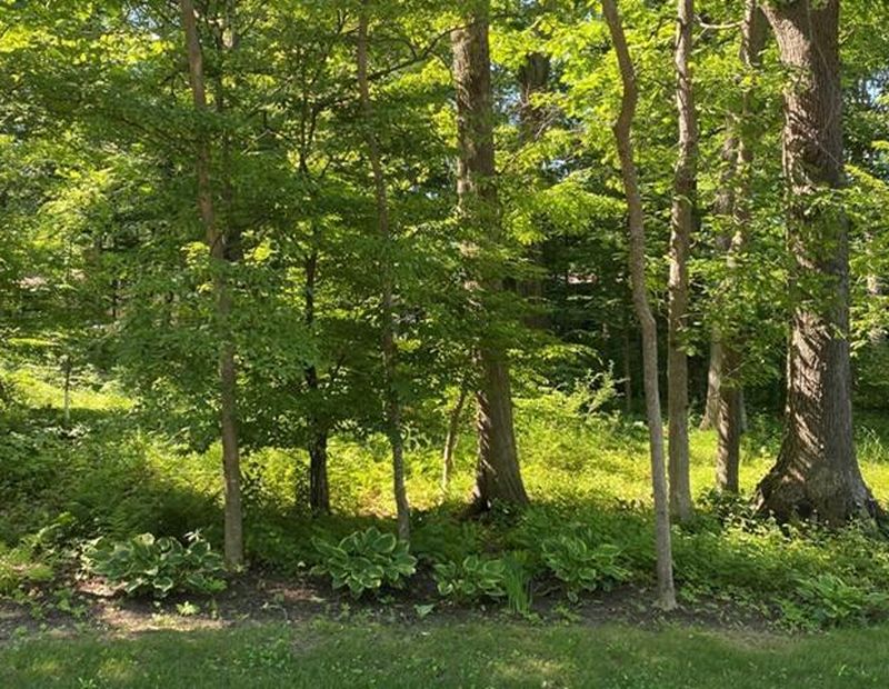 1132 West Ives Street, Marshfield, WI 54449 MLS 22230241 Fulton Grace