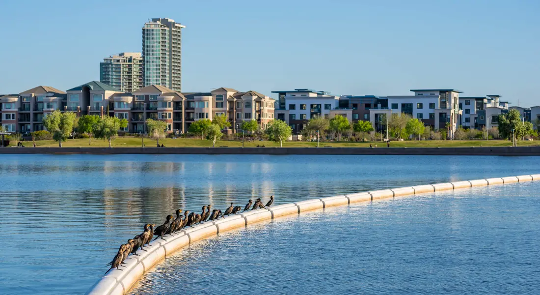 Tempe AZ Condos